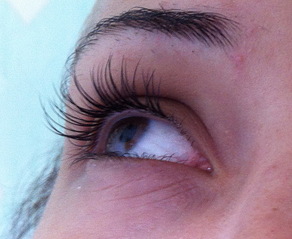 click for enlarge 1012 X 830 292.0 Kb picture