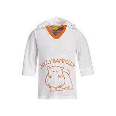 click for enlarge 800 X 800 48.9 Kb picture