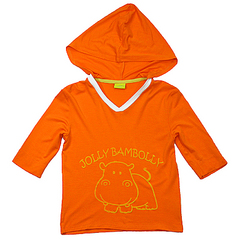 click for enlarge 800 X 800 384.8 Kb picture