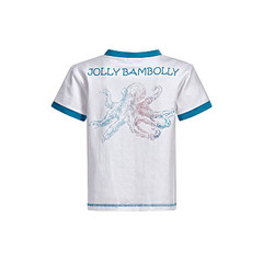 click for enlarge 800 X 800 48.3 Kb picture