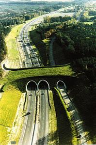click for enlarge 463 X 700 67.4 Kb picture