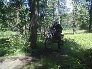 click for enlarge 448 X 336 48.9 Kb picture