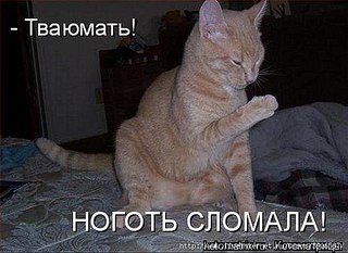 click for enlarge 520 X 379  38.9 Kb picture