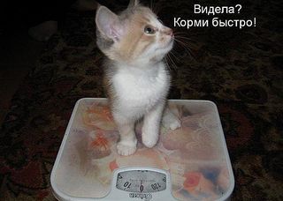 click for enlarge 604 X 431 39.0 Kb picture