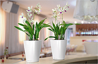 click for enlarge 626 X 408 196.9 Kb picture