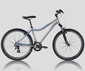 click for enlarge 800 X 667 89.0 Kb picture