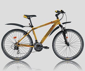 click for enlarge 800 X 667 104.1 Kb picture