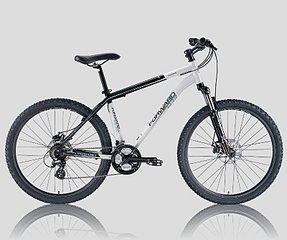 click for enlarge 800 X 667 84.4 Kb picture