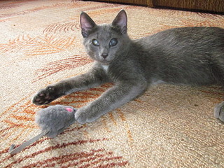 click for enlarge 1920 X 1440 843.8 Kb picture