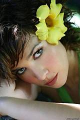 click for enlarge 320 X 480  17.2 Kb picture