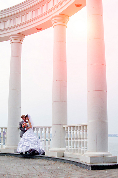 click for enlarge 532 X 800 228.6 Kb picture