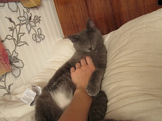 click for enlarge 1920 X 1440 563.5 Kb picture