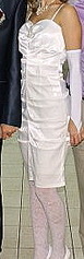 click for enlarge 89 X 274 12.6 Kb picture