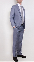 click for enlarge 247 X 445 87.9 Kb picture