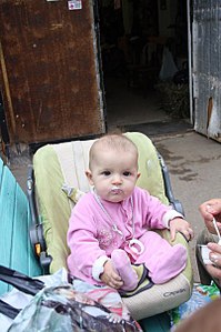 click for enlarge 402 X 604 53.5 Kb picture