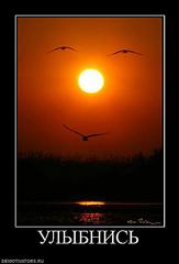 click for enlarge 564 X 829 30.0 Kb picture