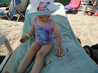 click for enlarge 1920 X 1440 323.7 Kb picture