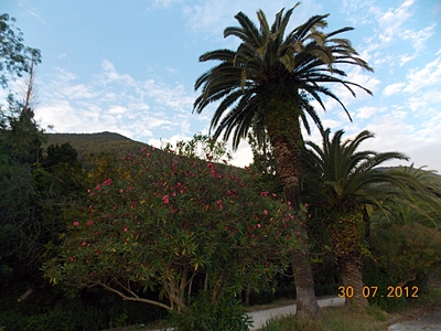 click for enlarge 1024 X 768 467.8 Kb picture