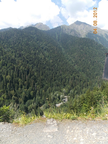 click for enlarge 768 X 1024 465.7 Kb picture