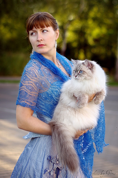 click for enlarge 1060 X 1600 897.1 Kb picture