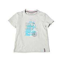 click for enlarge 800 X 800 64.8 Kb picture