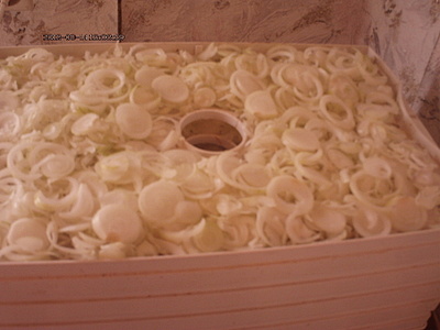 click for enlarge 1920 X 1440 897.0 Kb picture