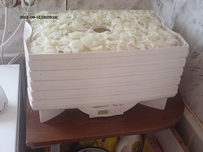 click for enlarge 1920 X 1440 839.6 Kb picture