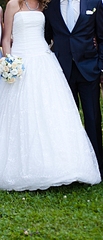 click for enlarge 659 X 1534 489.7 Kb picture