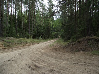 click for enlarge 1024 X 768 347.4 Kb picture