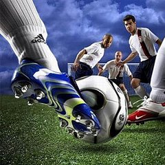 click for enlarge 320 X 320 32.7 Kb picture