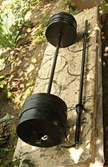 click for enlarge 657 X 1024 177.4 Kb picture