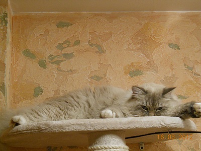 click for enlarge 1000 X 750 308.5 Kb picture