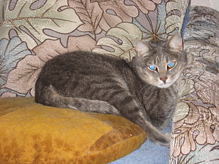 click for enlarge 1600 X 1200 776.7 Kb picture