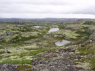 click for enlarge 800 X 600 275.3 Kb picture