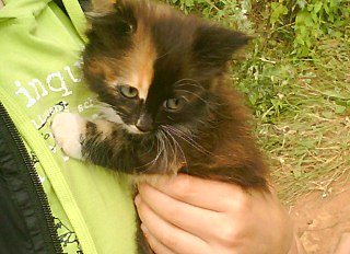 click for enlarge 640 X 464 90.6 Kb picture