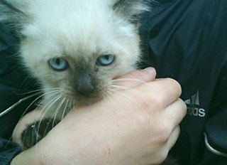 click for enlarge 640 X 464 58.0 Kb picture