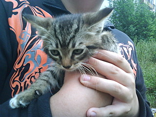 click for enlarge 1280 X 960 252.7 Kb picture