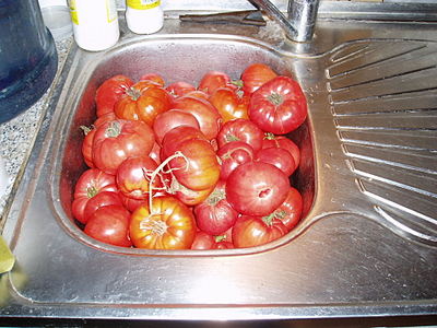 click for enlarge 1920 X 1440 465.3 Kb picture