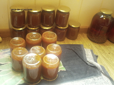 click for enlarge 1920 X 1440 957.8 Kb picture