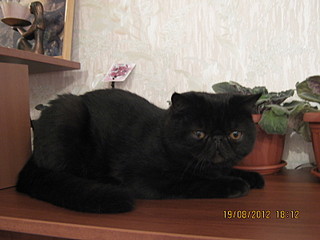 click for enlarge 1600 X 1200 421.6 Kb picture
