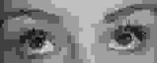 click for enlarge 800 X 322 24.6 Kb picture