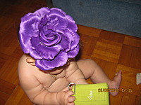 click for enlarge 1600 X 1200 526.1 Kb picture
