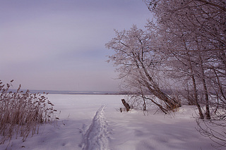 click for enlarge 990 X 660 295.4 Kb picture