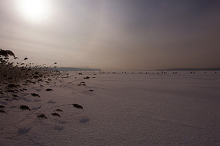 click for enlarge 990 X 660 225.4 Kb picture