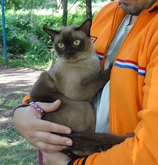 click for enlarge 903 X 945 320.2 Kb picture