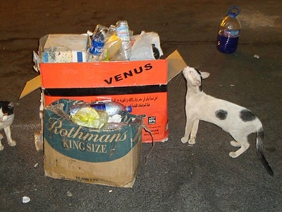 click for enlarge 604 X 453 89.0 Kb picture