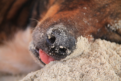 click for enlarge 1920 X 1280 198.9 Kb picture