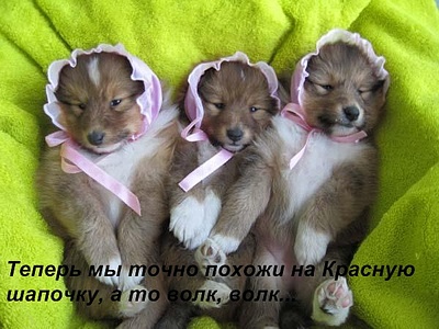 click for enlarge 600 X 450  87.3 Kb picture