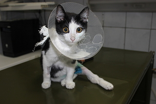 click for enlarge 1920 X 1280 765.3 Kb picture