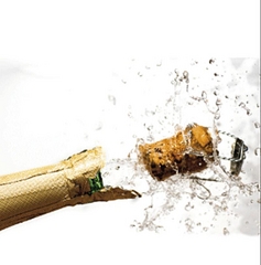 click for enlarge 800 X 810 153.3 Kb picture